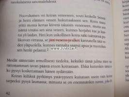Mitä koiralla mielessä