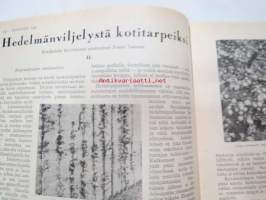 Kotiliesi 1927 nr 17, syyskuu I, 1.9.1927, sis. mm. seur. artikkelit / kuvat / mainokset; Kansikuvitus Aarno Karimo (Mökki Raja-Karjalassa), Fazer Kultakaramelli,