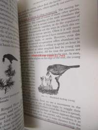 Social behavior in animals - Methuen&#039;s monographs on biological subjects