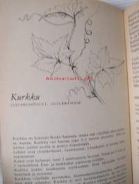 100 kasvia 1000 käyttöä