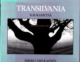 Transsilvania - Kaukametsä, 1990