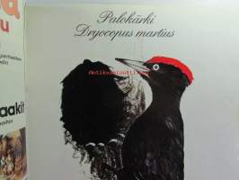 Avotakka 1977 nr 9 - katso sisällysluettelo kuvasta.