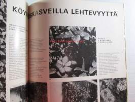Kaunis Koti 1968 nr 5, Kansikuva Mika Gnüpfer, Vuoteet,  Konferenssi Suomenlinna, Kesäillat, Tapetit palaavat, Pop-huone, Talo Kohonen, ym.