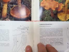 Myrkkysieniopas
