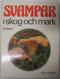 Svampar i skog och mark