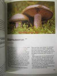 Svampar i skog och mark