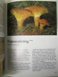Svampar i skog och mark