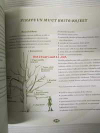 Pihapuu opas
