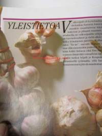 Valkosipuliherkut - Parhaat reseptit ja käyttöohjeet