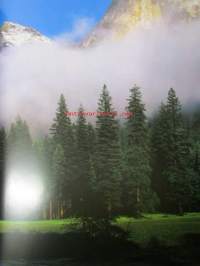 Yosemite Valley of Thunder