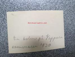 En holme på Vappern / Vappari 1930 -valokuva
