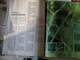 kotiliesi 1971  nr  11