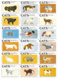 Cats Series of 18 : 1-15 / 15 etiketin arkki  -  tulitikkuetiketti