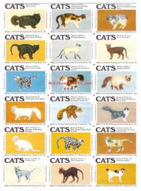 Cats Series of 18 : 1-15 / 15 etiketin arkki  -  tulitikkuetiketti