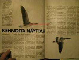 kotiliesi 1973 nr 5