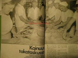 kotiliesi 1973 nr 8