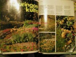 kotiliesi 1973 nr 9