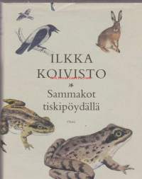 Sammakot tiskipöydällä