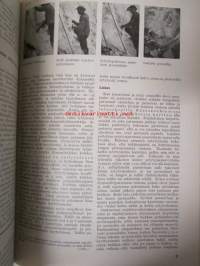 Tapaturmasuojelu 1933-34 -sidottu vuosikerta