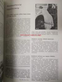 Tapaturmasuojelu 1933-34 -sidottu vuosikerta