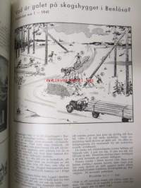 Olycksfallsskyddet 1941 / Tapaturmasuojelu -sidottu vuosikerta -annual volume