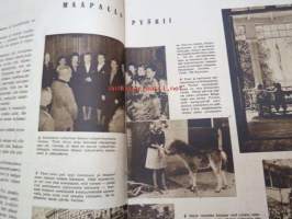 Hopeapeili 1942 nr 8 elokuu, sis. mm. seur. artikkelit / kuvat / mainokset; Kansikuva Havas - Marjat talteen, Lomanviettoa talkootyttönä - Punkaharjun Vaahersalon