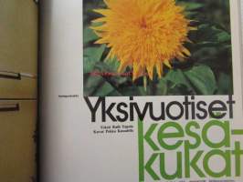 Avotakka 1973 nr 5 sis. mm. seur. artikkelit / kuvat / mainokset; Ulli ja Bengt Kyrlund - Pieni punainen tupa, Avotakan antiikkiopas - Messinki, Tee itse - Lasten