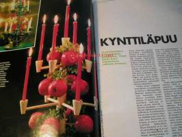 kotiliesi 1972 nr 24