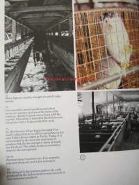 Lohja - Picture book of te Borough and Municipality