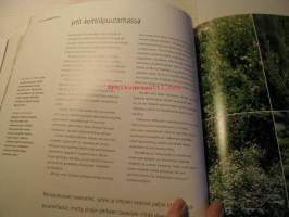 yrttitarha innostavia ideoita yrttien kasvatukseen