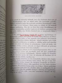 Svenska Finlands Idrottsförbund 1912-1937