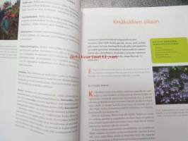 Suomalainen viherpiha