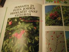Hedelmät ja marjat  viljelyä ja ruokaohjeita