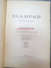 Svampar