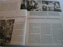kotiliesi  1966 nr 18