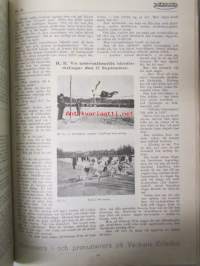 Veckans Krönika 1916 -sidottu vuosikerta