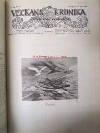 Veckans Krönika 1916 -sidottu vuosikerta