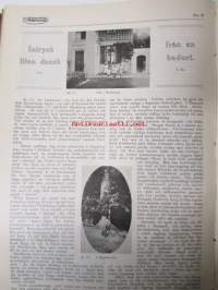 Veckans Krönika 1916 -sidottu vuosikerta