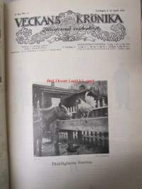 Veckans Krönika 1916 -sidottu vuosikerta