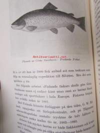 En Wiborgare i Helsingfors och Stockholm