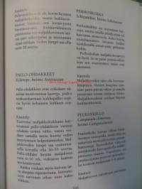 Koristellaan kukkasin - perustietoa leikkokukista