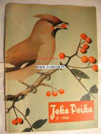 Joka Poika 1966 nr 17