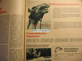 Joka Poika 1966 nr 15