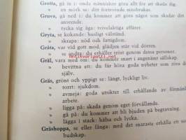 Drömbok (Orientalisk drömbok)