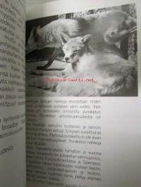 Pieni Turkisopas