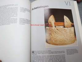 Antikens Rom - Dagligt liv för 2 000 år sedan
