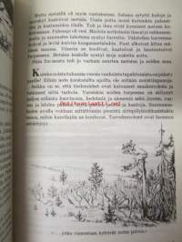 Metsäpölku - Kodin ja koulun metsäkirja