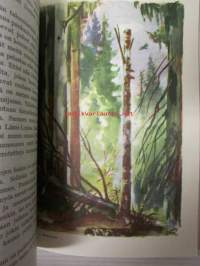 Metsäpölku - Kodin ja koulun metsäkirja