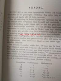 Mina anor - ett genealogiskt försök