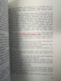 Tiemies Lapioinen - Tietyöaiheinen romaani.